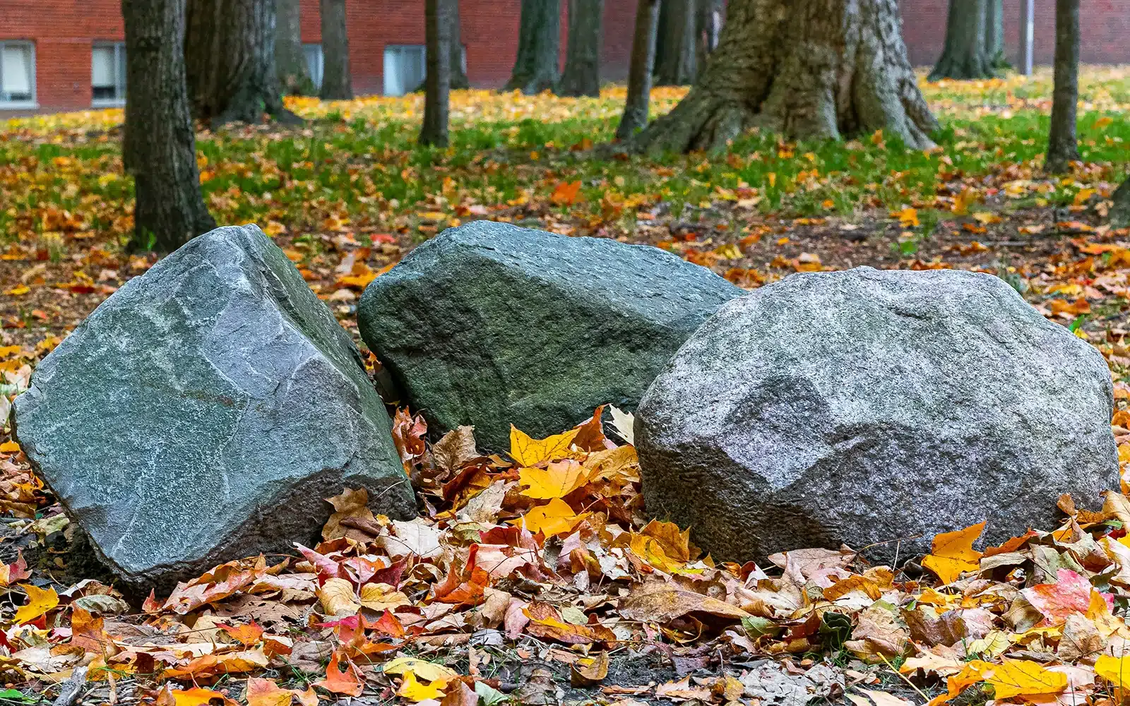 Decorative Boulders
